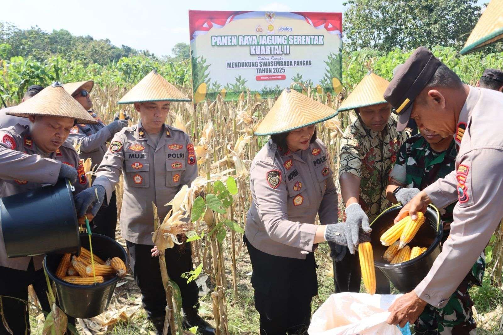 Polres Sragen Panenraya Jagung Serentak Kuartal-II di Sumberlawang