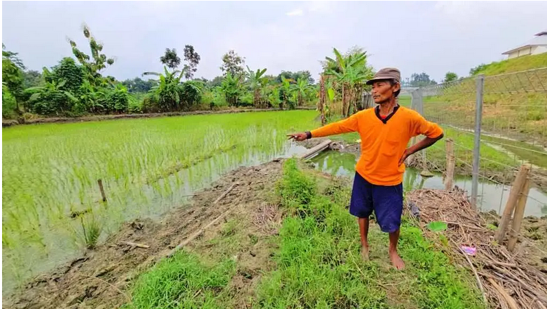 Dampak Limbah PT Charoen Pokphand Desa Pagak Sragen Bau Menyengat Dikeluhkan Warga dan Diduga Menggangu Sektor Pertanian